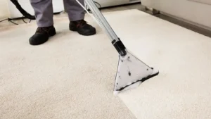 Choose a Trusted Carpet Cleaner in North York