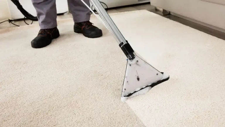 Choose a Trusted Carpet Cleaner in North York