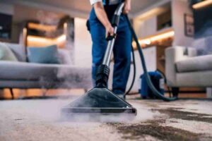 carpet cleaning north york