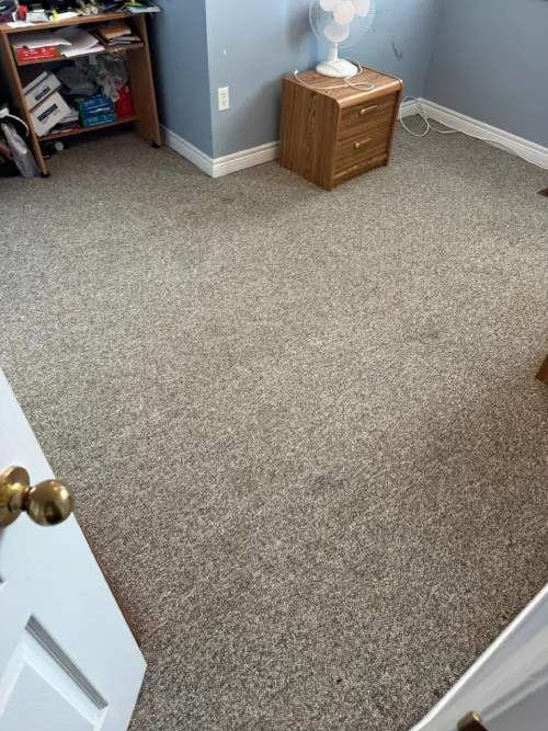 Carpet cleaning after