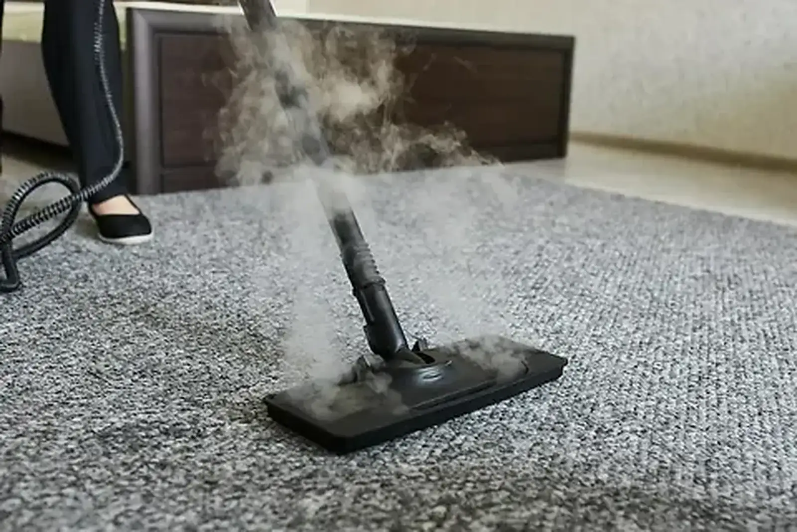 Professional carpet steam cleaning in a Toronto home