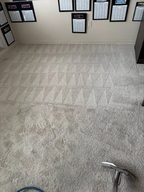 Carpet cleaning before