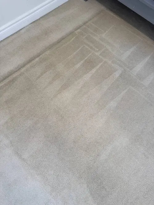 Area rug cleaning washing and drying