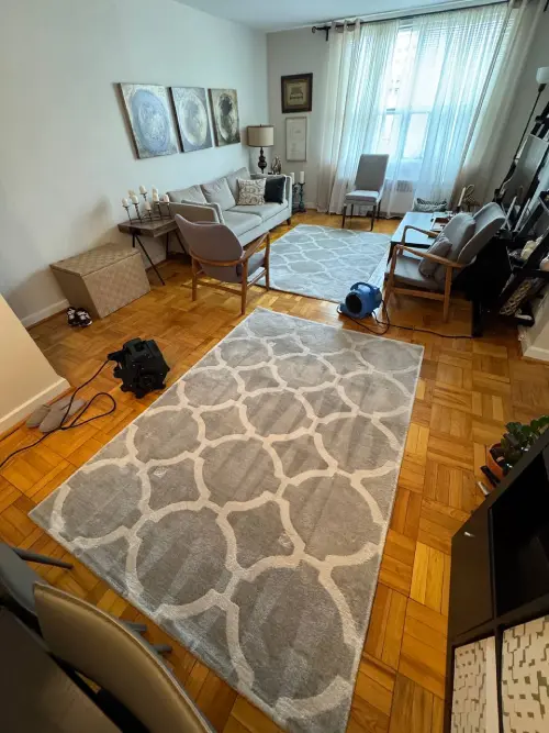 Residential carpet cleaning in progress