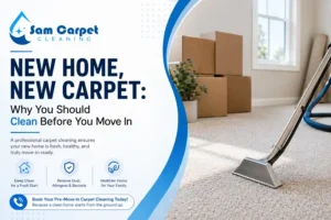 New Home, New Carpet_ Why You Should Clean Before You Move In